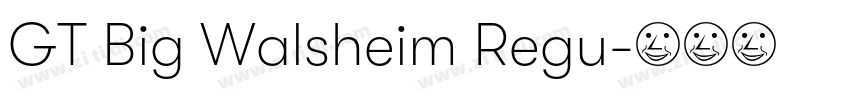 GT Big Walsheim Regu字体转换